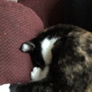 Meet your Posher, Brett